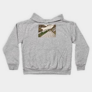 Alaskan UFO Kids Hoodie